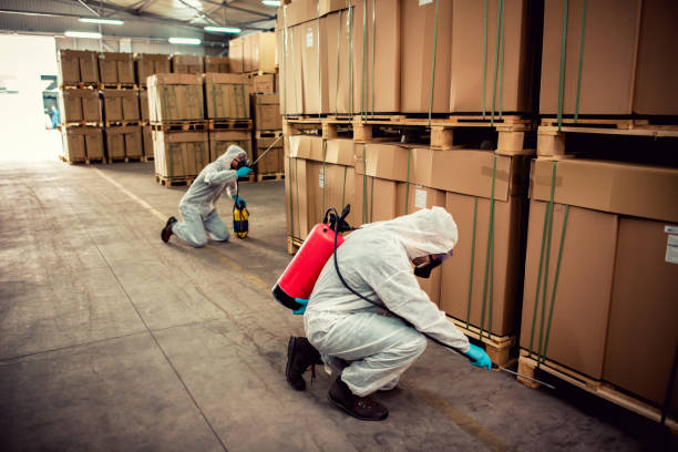 Best Mosquito Control Services  in Rolling Meadows, IL