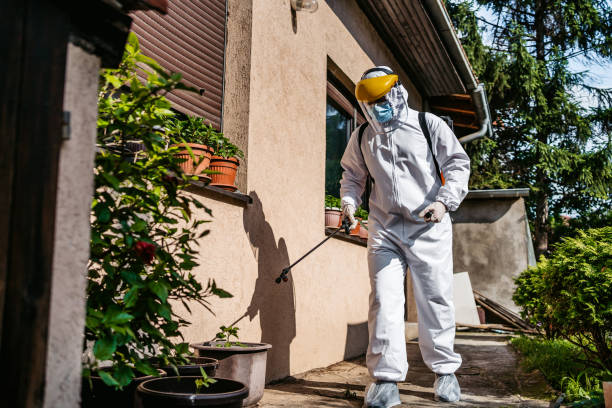 Best Bird Control  in Rolling Meadows, IL