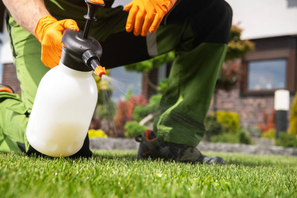 Best Pest Control Near Me  in Rolling Meadows, IL