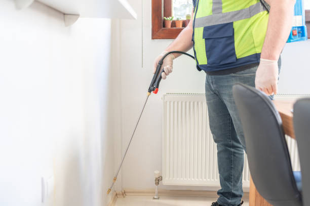 Best Bed Bug Extermination  in Rolling Meadows, IL