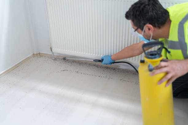 Best Residential Pest Control  in Rolling Meadows, IL